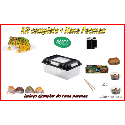 Kit completo + rana pacman